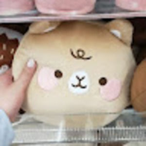 Meet your Posher, Ruby